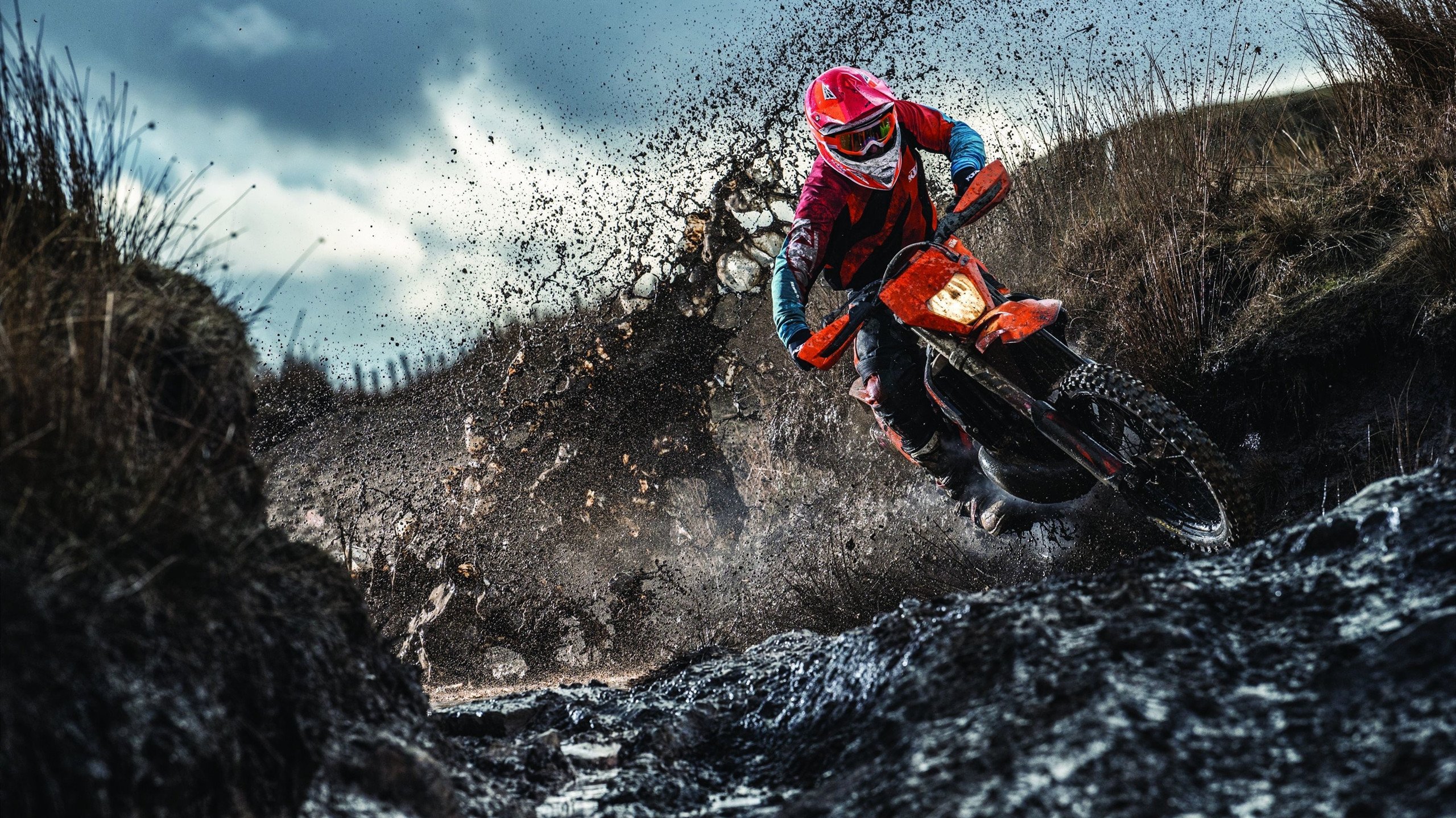 体育教育与职业发展结合,培养更多业界人才,体育教育对职业院校的意义